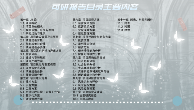 可研報(bào)告目錄